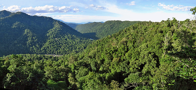 Wet Tropics World Heritage Area