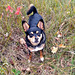 Maggie following commands. Click on the link below.