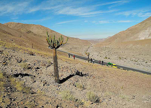 PARINACOTA-ARICA