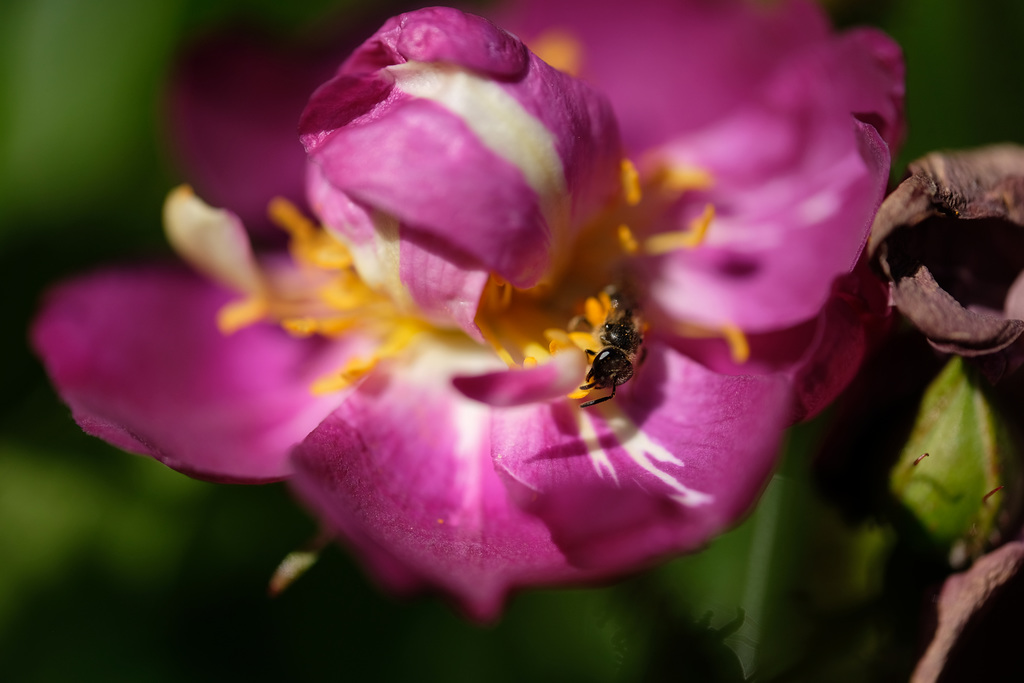 DSCF9270