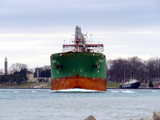 Wigeon, bulk carrier from foreign shores.