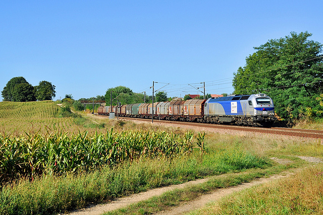 Euro 4000 dans les maïs