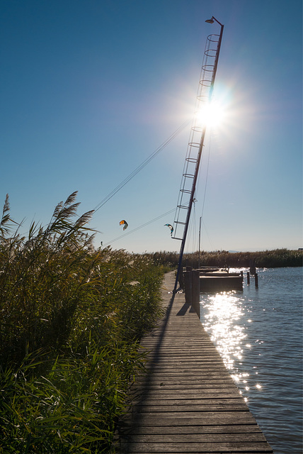 Am Neusiedlersee