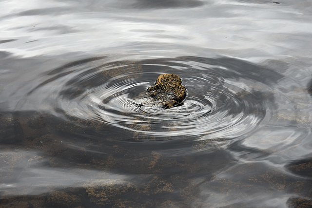 Ripples round a rock