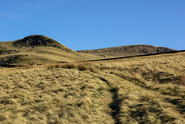 Shelf Benches with James's Thorn ahead