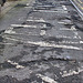 Derelict Bus Station and Taxi Rank, Newcastle