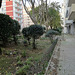 A small garden between Benfica's blocks - IX