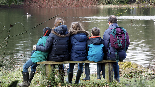 Duck Watching