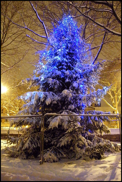 blue Christmas