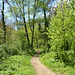 Bulgaria, Blagoevgrad, Trail through the Forest Park of Bachinovo