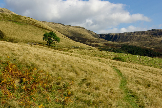 a path to Kinder Downfall