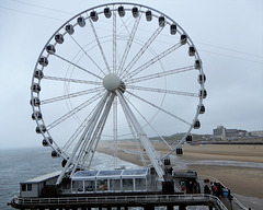 Bike Netherlands/ Scheveningen  Sky View