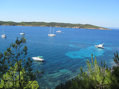 Ile de Port-Cros 2