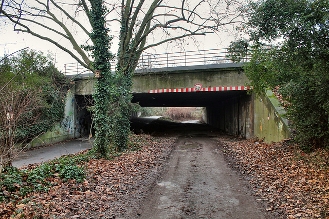 Unterführung unter der Güterbahnlinie (Duisburg-Obermeiderich) / 15.01.2017