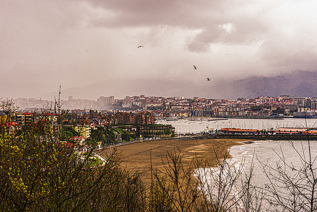 Paisaje desde Algorta