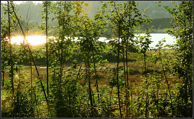 From sandquarry to Nature reserve.........(enlarge)