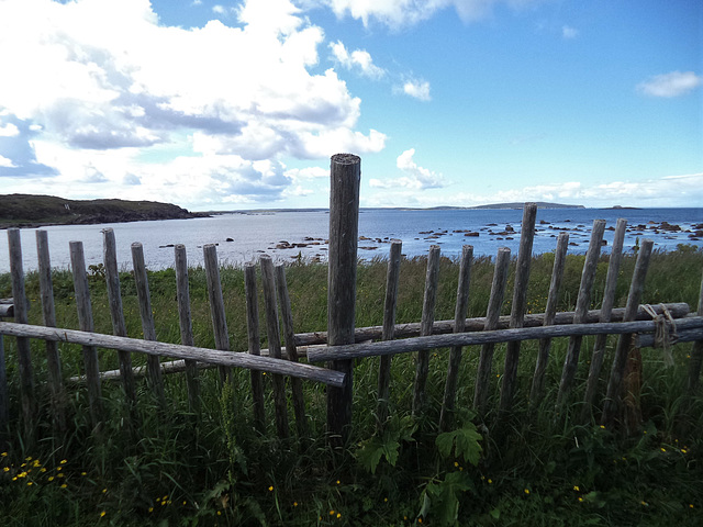 Clôture Viking / Viking fence