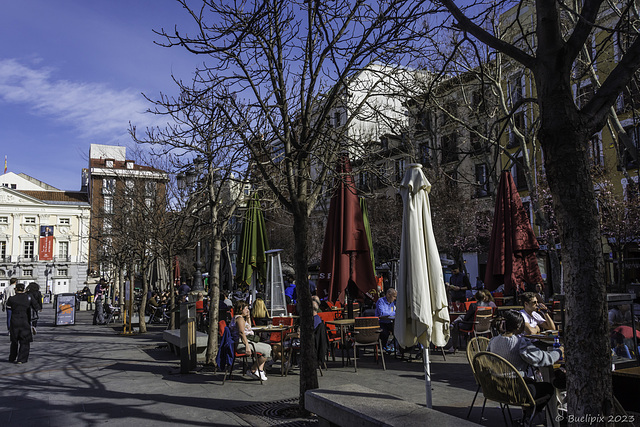im März auf der Plaza de Santa Ana (© Buelipix)