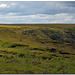 Saddleworth Moors