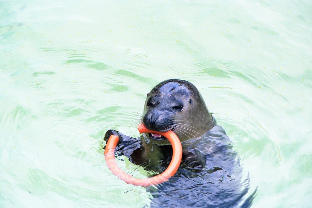 Sea Life Centre