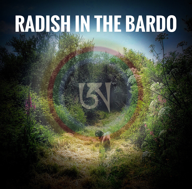 RADISH IN THE BARDO