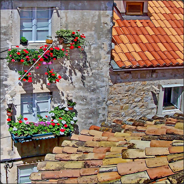 Colori e fiori a Dubrovnik