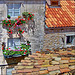 Colori e fiori a Dubrovnik