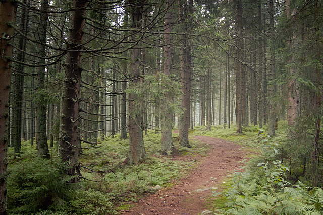 Zakopane