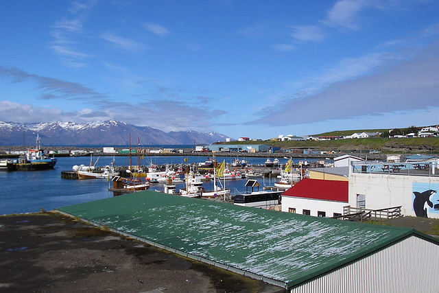 View Over Husavik