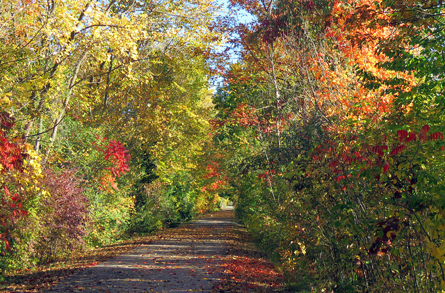 October 13th and the weather is perfect.