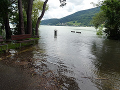 HBM - und diesen Sommer weiterhin daruf achten wo man sich Hinsetzen kann