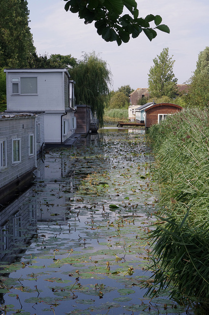 Chichester Canal