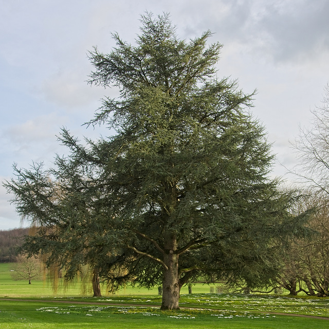 West Dean Gardens