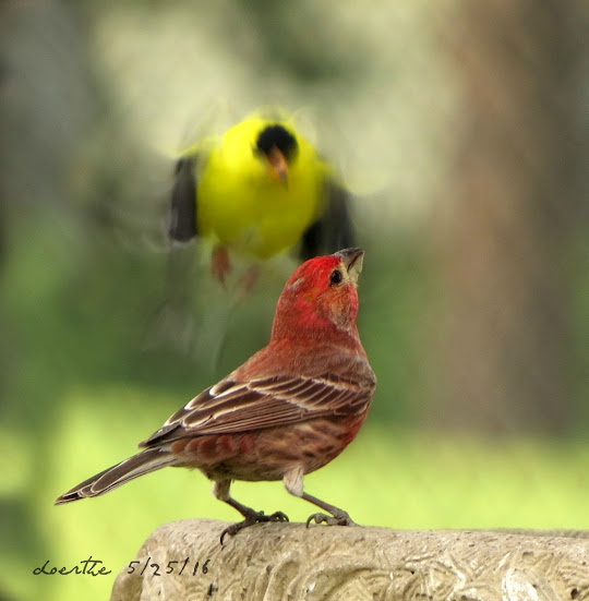 Mid-air collision course!