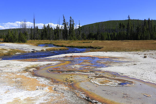 Black Sand Basin