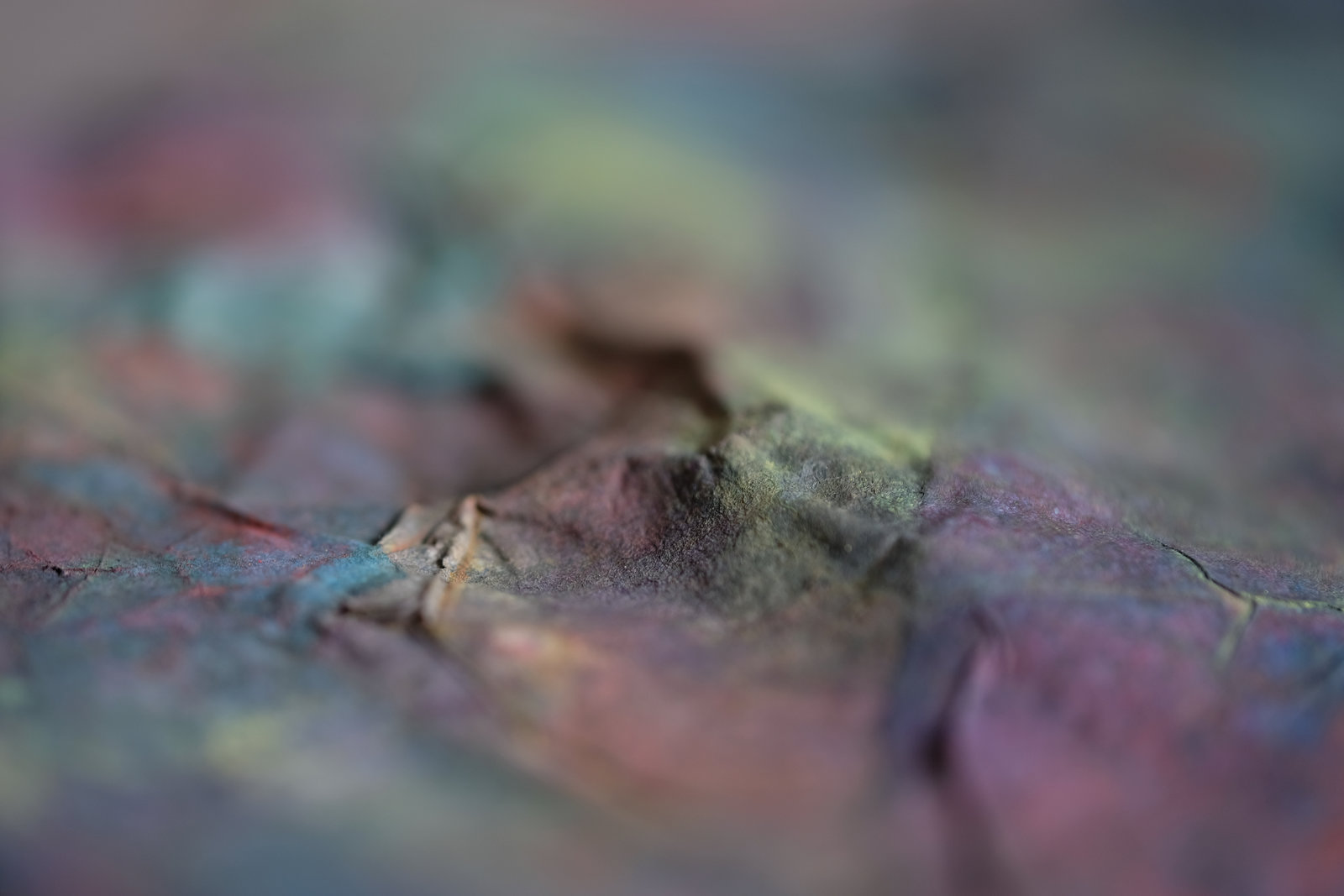 DSCF3300