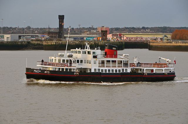 ROYAL IRIS OF THE MERSEY