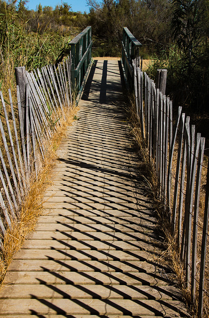 A Fence for Friday