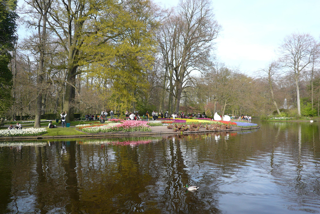 Keukenhof Gardens