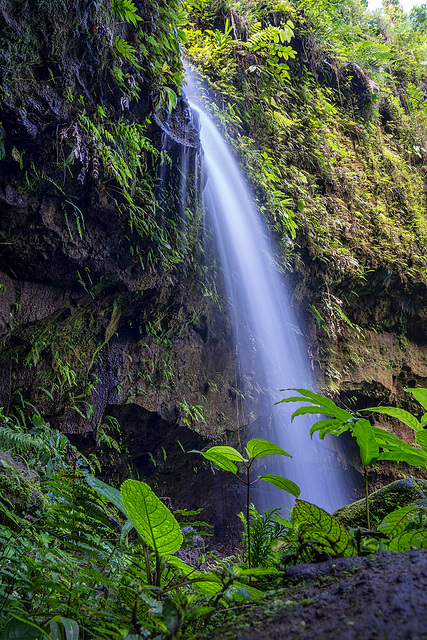 Emerald Pool