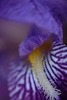 DSCF7654