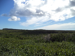 Wikingerlandschaft / Paesaggio vichingo