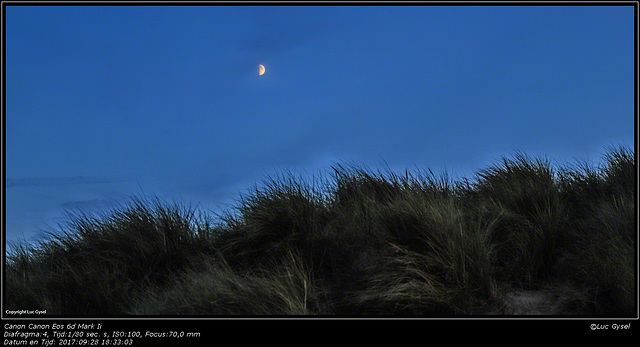 IMG 9446.jpg  2017 09 26  Bredene strandwandeling