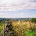 Looking North from near Mow Cop (Scan from 1999)