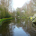 Keukenhof Gardens