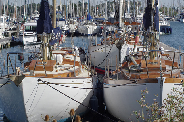 A pair of yachts