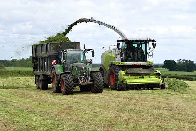 Silage Time