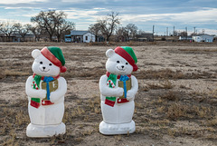 Two Sweet Bears in - Sugar City Colorado