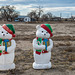 Two Sweet Bears in - Sugar City Colorado