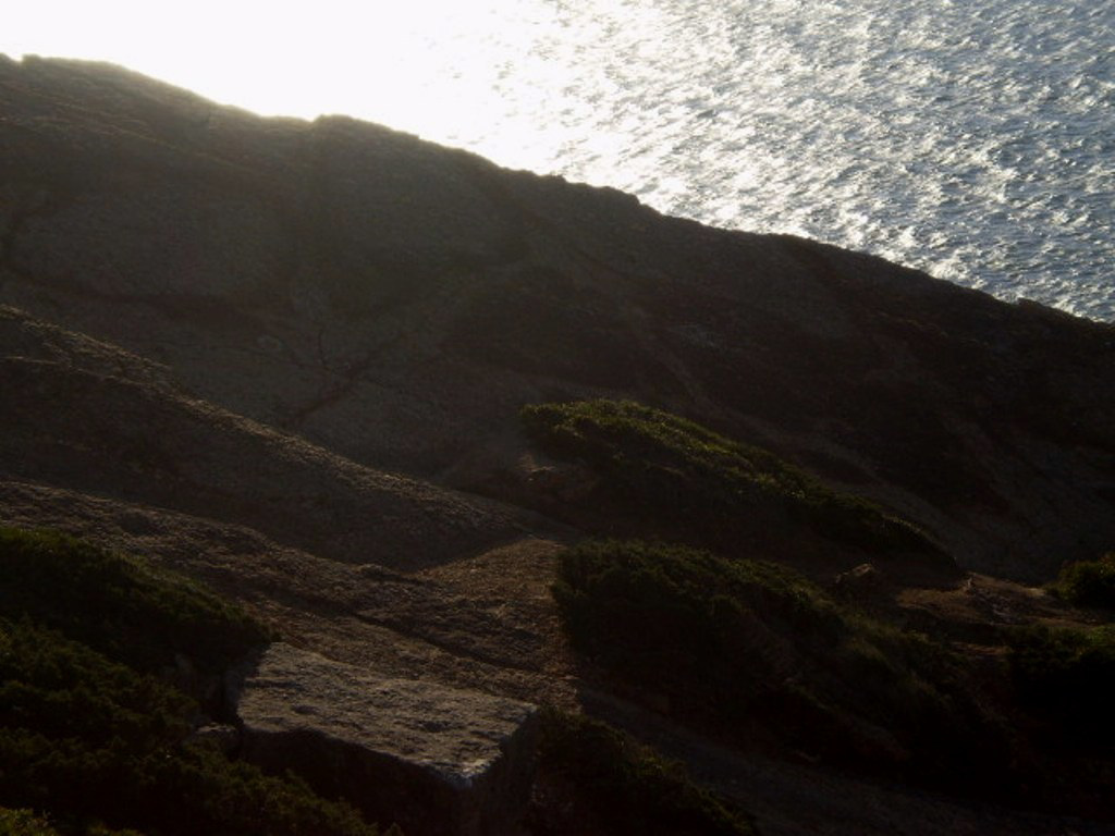 Footprint of carnivorous dinosaur.